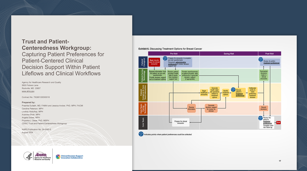 Trust and Patient-Centeredness Workgroup: Capturing Patient Preferences for Patient-Centered Clinical Decision Support Within Patient Lifeflows and Clinical Workflows